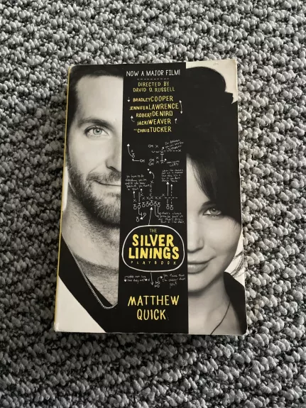 Silver Linings Playbook - Quick Matthew, knyga 1
