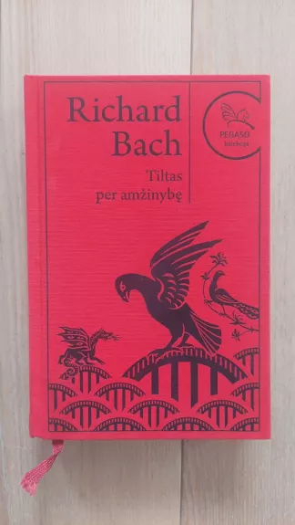 Bach Richard ,,Tiltas per amžinybę'' - Richard Bach, knyga 1