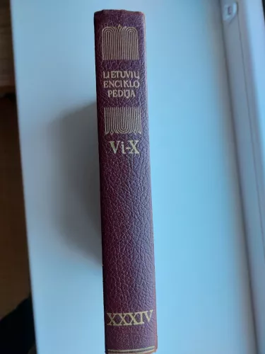 Bostono lietuvių enciklopedija - Autorių Kolektyvas, knyga