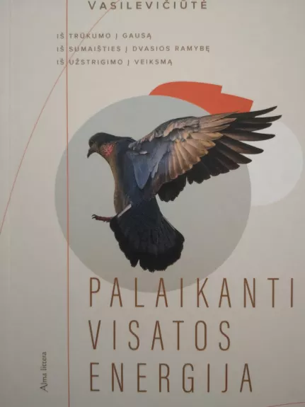 Palaikanti visatos energija: iš trūkumo į gausą, iš sumaišties į dvasios ramybę, iš užstrigimo į veiksmą - Justina Vasilevičiūtė, knyga