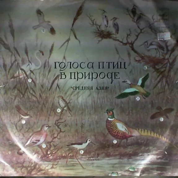 Птицы Средней Азии