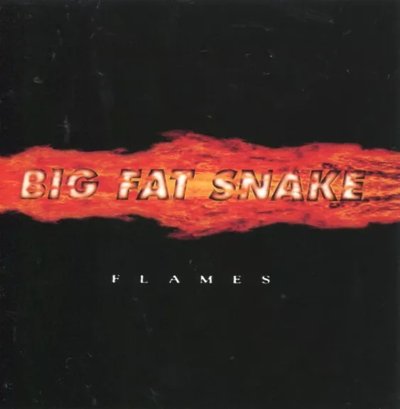 Flames - Big Fat Snake, plokštelė