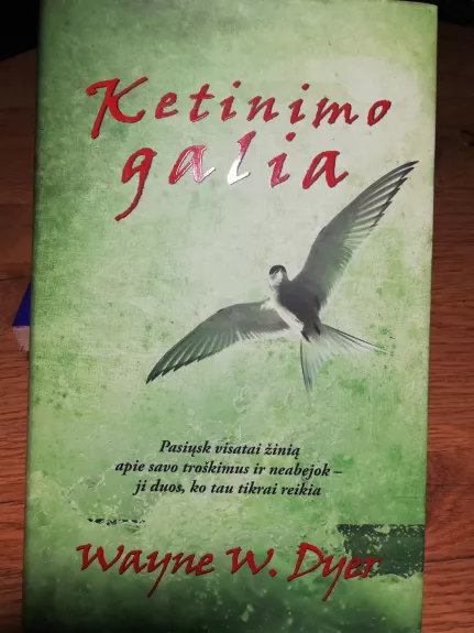 Ketinimo galia