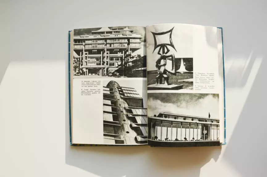 Architektūros kryptys užsienyje - Jonas Minkevičius, knyga 1