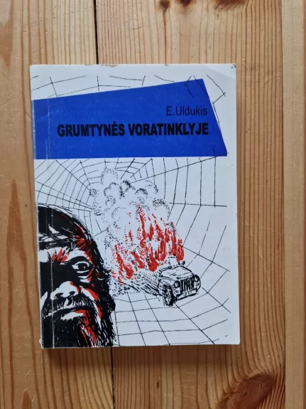 Grumtynės voratinklyje