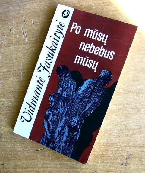 Po mūsų nebebus mūsų - Vidmantė Jasukaitytė, knyga