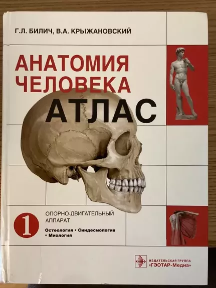 Žmogaus anatomijos atlasas - Autorių Kolektyvas, knyga 1