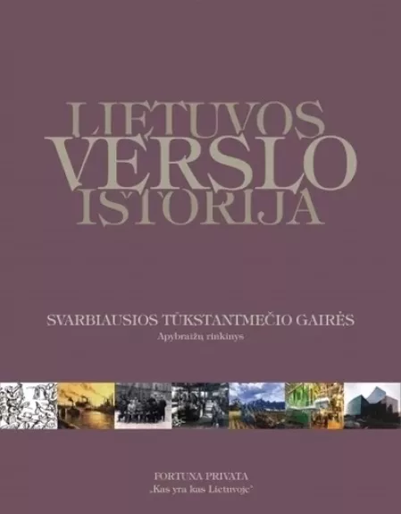 Lietuvos Verslo istorija - Aelita Ambrulevičiūtė, knyga