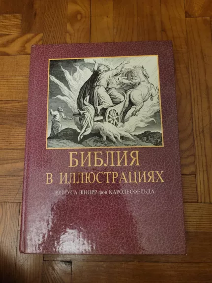 Библия в иллюстрациях - Юлиус Шнорр фон Карольсфельд, knyga