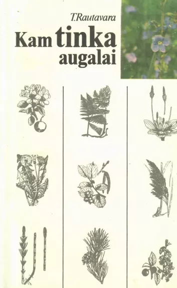 Kam tinka augalai? - T. Rautavara, knyga