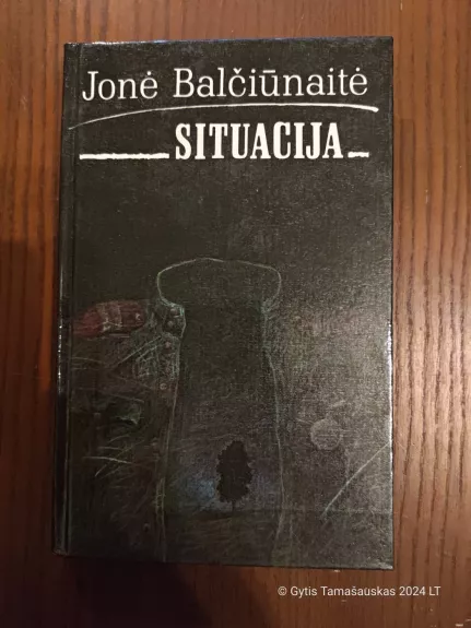 Situacija - Jonė Balčiūnaitė, knyga