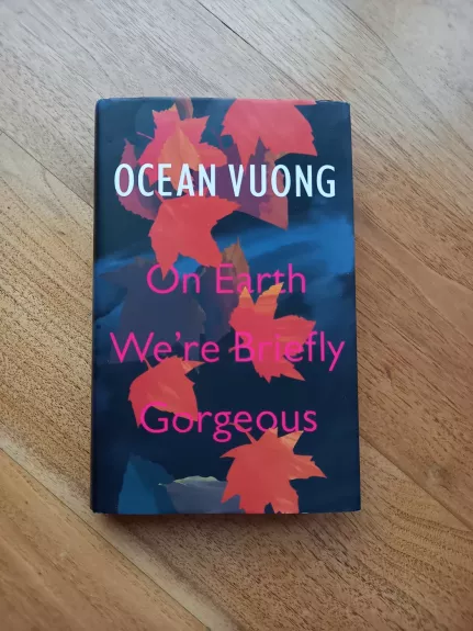 On Earth We're Briefly Gorgeous - Ocean Vuong, knyga