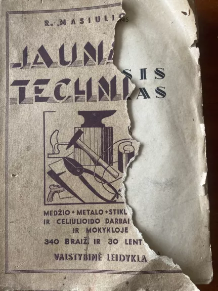 Jaunasis technikas