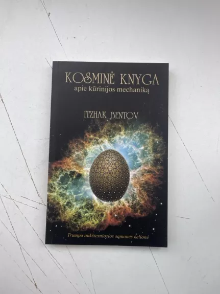 Kosminė knyga apie kūrinijos mechaniką - Itzhak Bentov, knyga