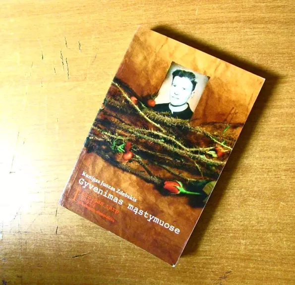 Gyvenimas mąstymuose. 1 knyga: Kunigas tarp vagių. Iš kalėjimo dienoraščių.