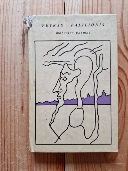 Mažosios poemos - Petras Palilionis, knyga
