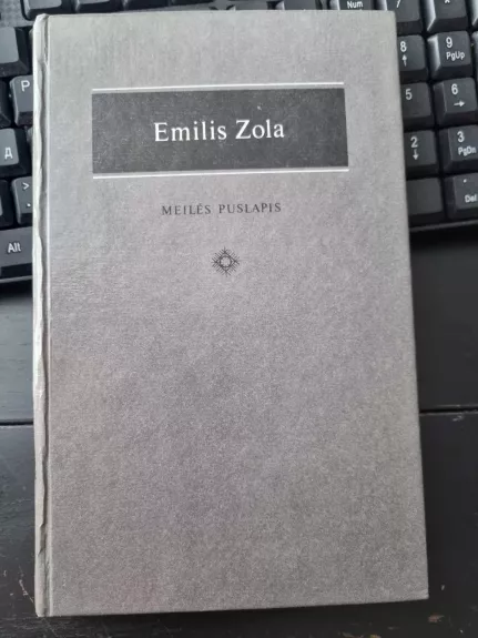Meilės puslapis - Emilis Zola, knyga