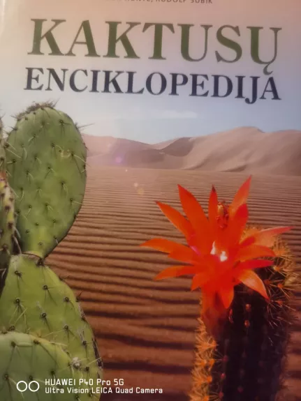 Kaktusų enciklopedija - Libor Kunte, Rudolf  Šubík, knyga