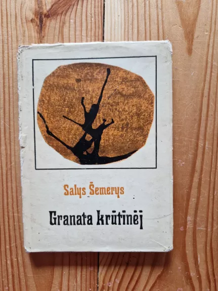 Granata krūtinėj - Salys Šemerys, knyga