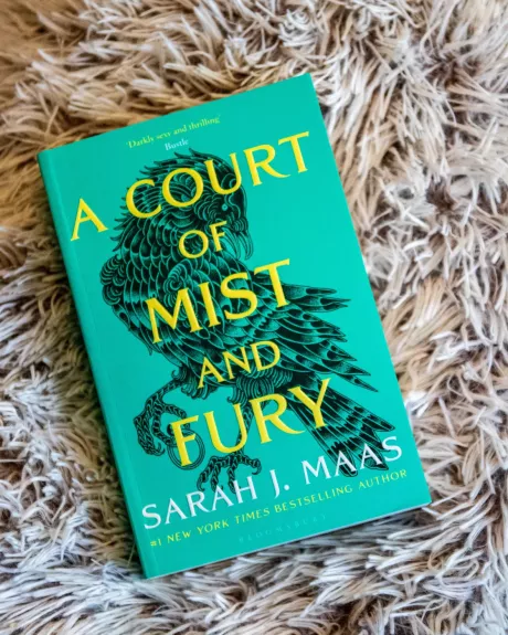 A Court of Mist and Fury - Sarah J. Maas, knyga 1