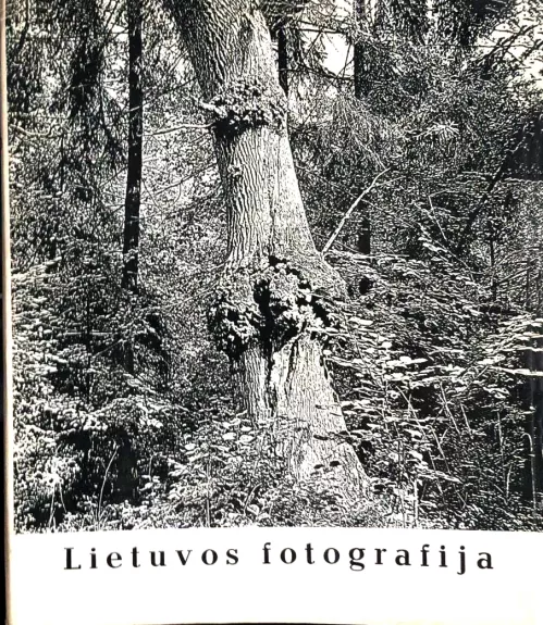 Lietuvos fotografija (fotoalbumas)