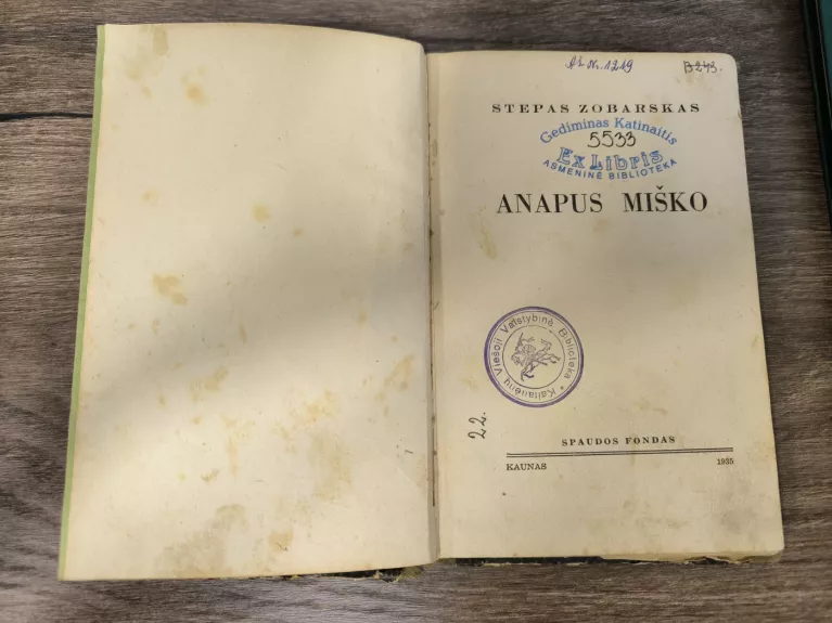 Anapus miško - Stepas Zobarskas, knyga
