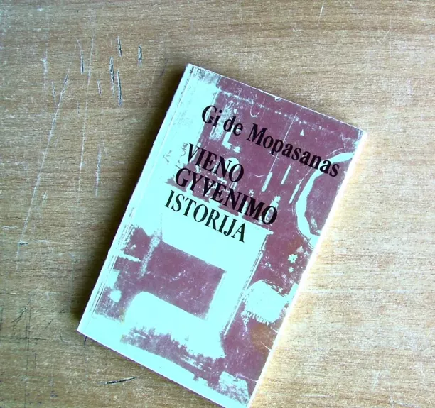 Vieno gyvenimo istorija