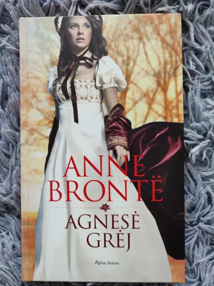 Agnesė Grėj - Anne Bronte, knyga