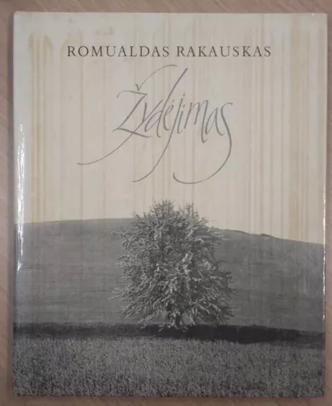 Žydėjimas - Romualdas Rakauskas, knyga