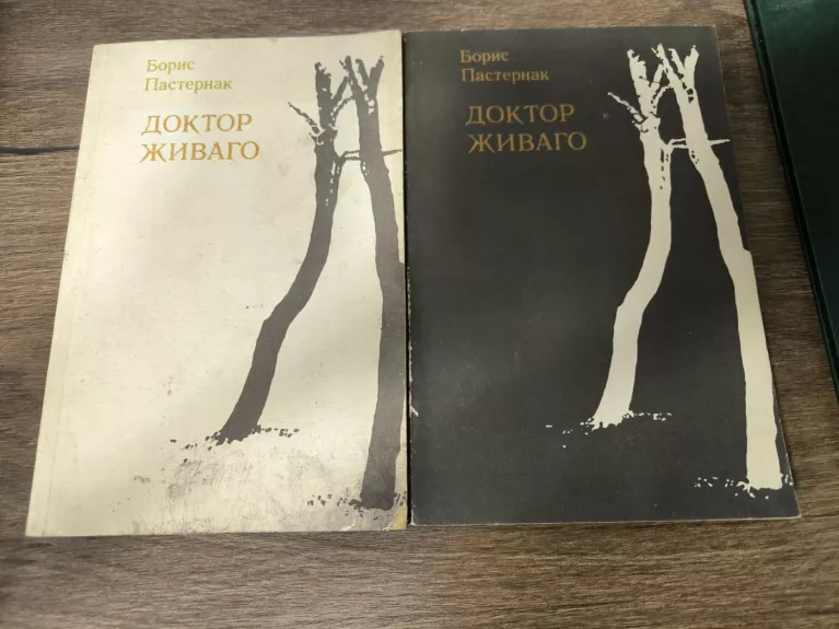 Daktaras Živago - Borisas Pasternakas, knyga