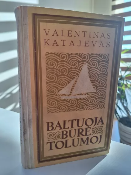 Baltuoja burė tolumoj - Valentinas Katajevas, knyga 1