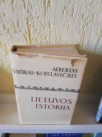 Lietuvos istorija - Albertas Vijūkas-Kojelavičius, knyga