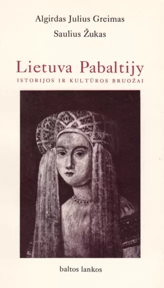 Lietuva Pabaltijy: istorijos ir kultūros bruožai - Autorių Kolektyvas, knyga