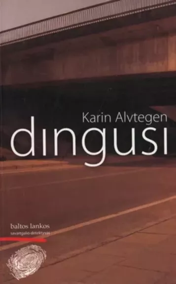 dingusi - Karin Alvtegen, knyga