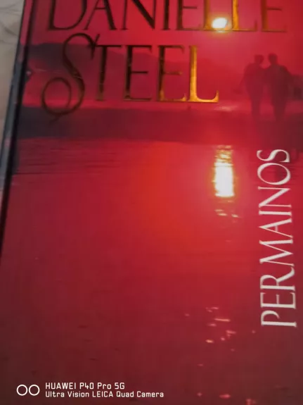 Permainos - Danielle Steel, knyga
