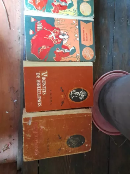 Vikontas de Braželonas (IV tomas) - Aleksandras Diuma, knyga 1