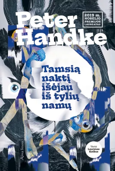 Tamsią naktį išėjau iš tylių namų - Peter Handke, knyga