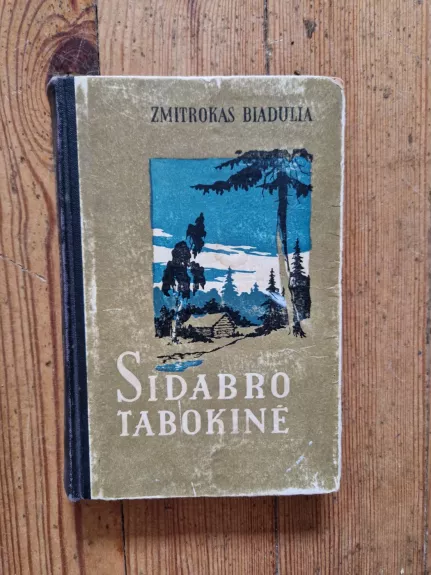 Sidabrinė tabokinė - Zmitrokas Biadulia, knyga