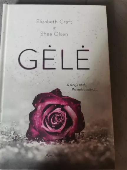 Gėlė ji turėjo tikslą bet tada sutiko jį... - Elizabeth Craft ir Shea Olsen, knyga