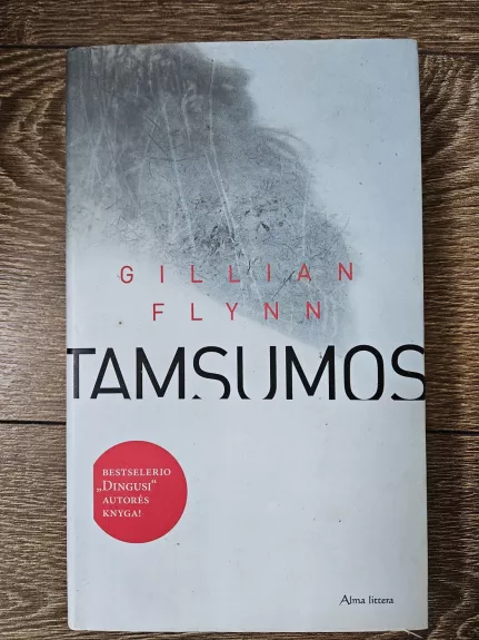 Tamsumos - Gillian Flynn, knyga