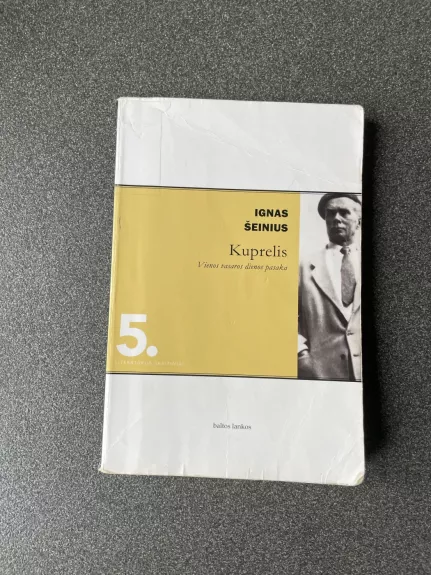 Kuprelis. Vienos vasaros dienos pasaka - Ignas Šeinius, knyga