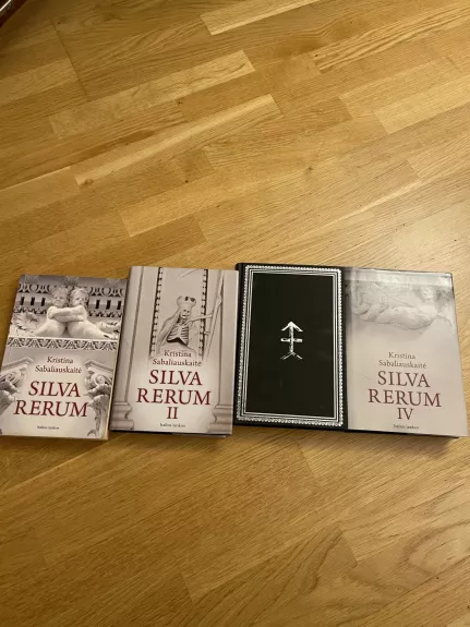 Silva rerum - Sabaliauskaitė Kristina, knyga