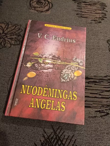 Nuodėmingas angelas - V. C. Endrius, knyga