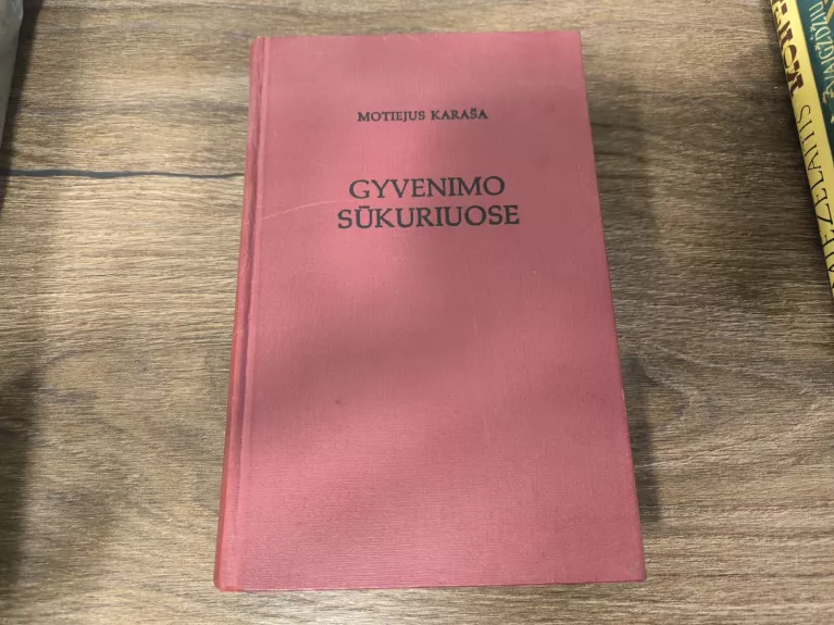 Gyvenimo sūkuriuose - Motiejus Karaša, knyga 1