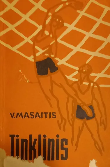 Tinklinis - V. Masaitis, knyga