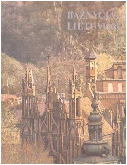 Bažnyčia Lietuvoje