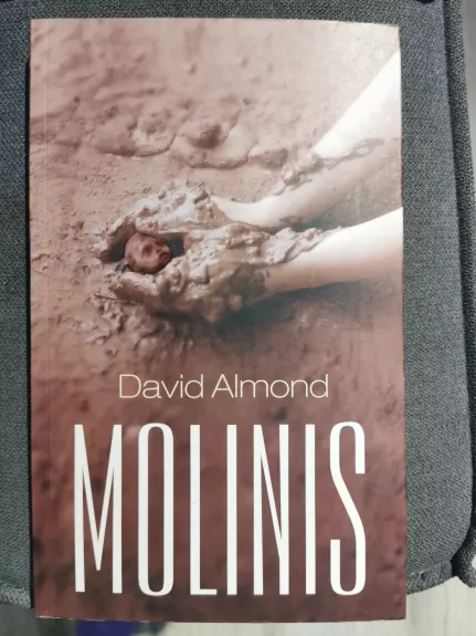 Molinis - David Almond, knyga