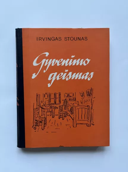Gyvenimo geismas - Irvingas Stounas, knyga