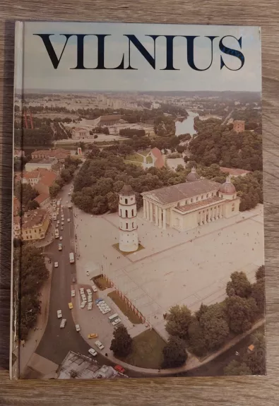 Vilnius - Danielius Mickevičius, knyga