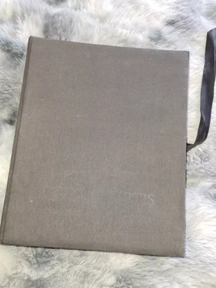 Grožio kirtis - Statkevicius Juozas, knyga 1